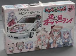 フジミ 1/24 迷い猫オーバーラン/HondaシビックタイプR